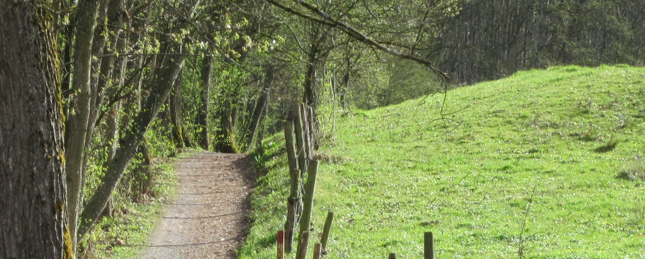 Wandern über Stock und Stein