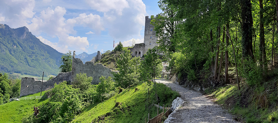 Fischbach: Burg Falkenstein soll belebt sein