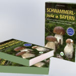 Buch-Verlosung-Schwammerl Kopie